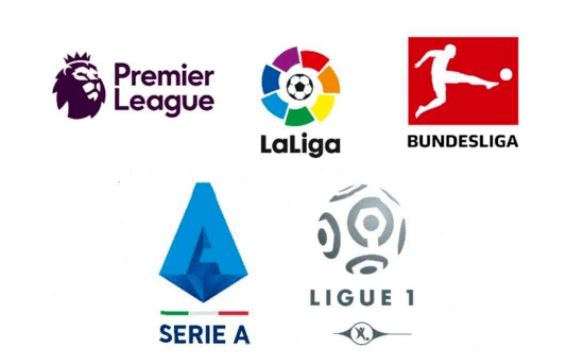 的比例并不 的比例并不