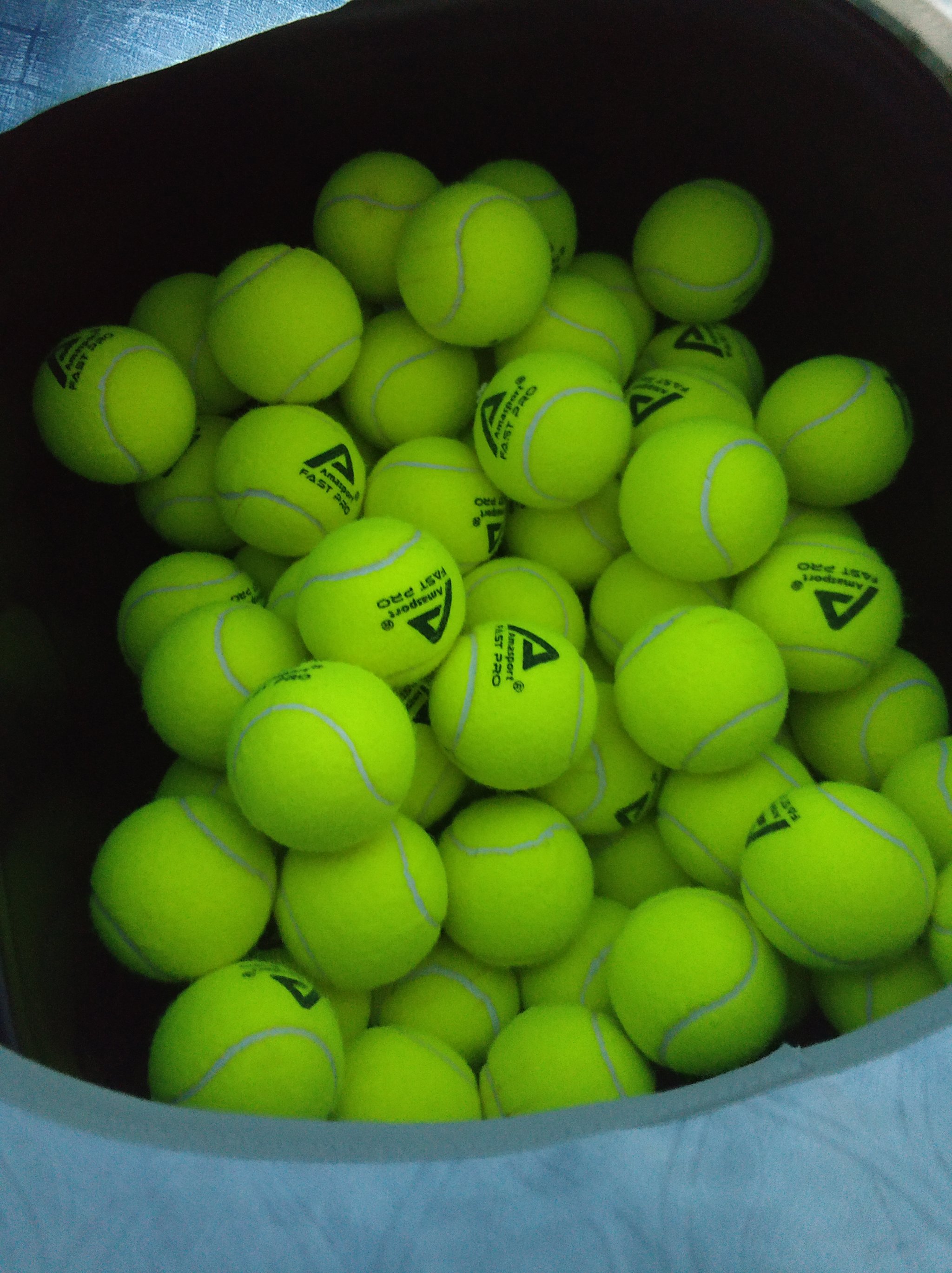 粉丝的鼓励 粉丝的鼓励